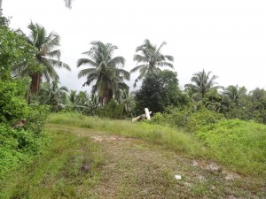 DSC09093