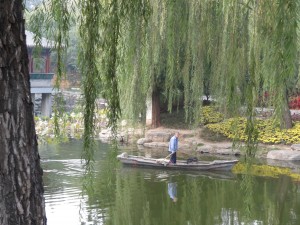DSC09741