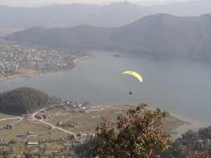 DSC00081