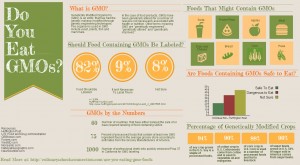 gmo-foods-infographic