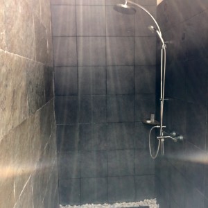 blue water shower head