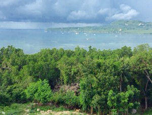 Ocean Suites View