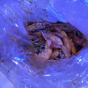 Blue Post Boiling Crabs and Shrimps