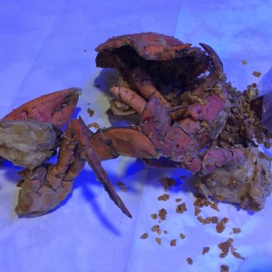 Blue Post Boiling Crabs and Shrimps