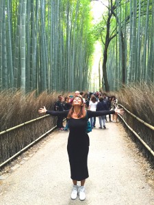 Bamboo forest