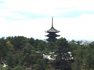 Nara view