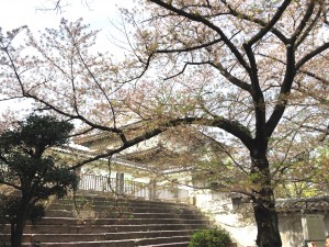 Osaka castle 2