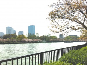 Yodagawa river park