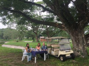 Breakfast under a tree