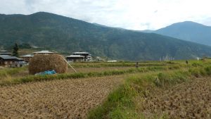 punakha-hike